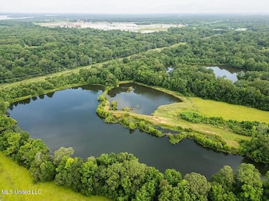 299 W Mount Pleasant Zachary Rd, Zachary, LA 70791 - photo 2