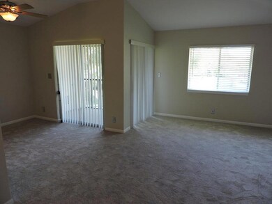 living room with new careting