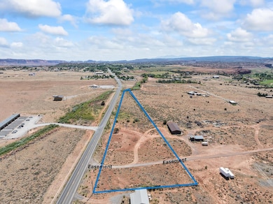 DJI_20250809115142_0018_D blue marked ea