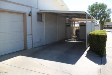 Javelina House 026