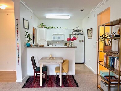 Enter into living & kitchen