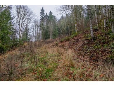 38353 SW Laurelwood Rd, Gaston, OR 97119 - photo 3