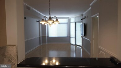 The Eclipse unit 918W, Arlington, VA 22202 - photo 3