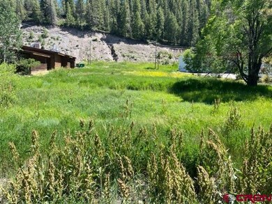 351 E Pagosa St, Pagosa Springs, CO 81147 - photo 5