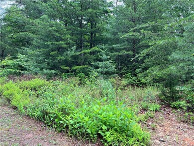 Lot 61 Deer Run, Purlear, NC 28665 - photo 5