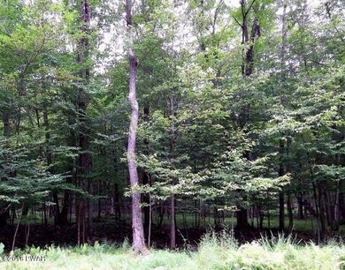 843 Tink Wig Dr, Lackawaxen Township, PA 18428 - photo 2