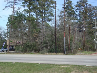 00 Honea Egypt Rd, Magnolia, TX 77354 - photo 5