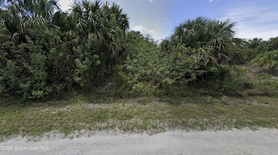 3382 Sage Avenue SW, Palm Bay
