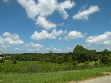 09 Sandra Parker Dr, Lucedale, MS 39452 - photo 7