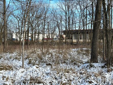 IMG_8886