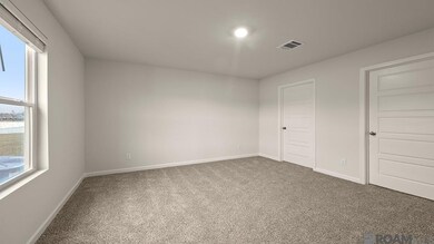 35567 Forest Manor Ave, Denham Springs, LA 70706 - photo 7