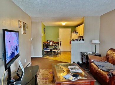 272 E Haverhill St unit B5-12, Lawrence, MA 01841 - photo 4