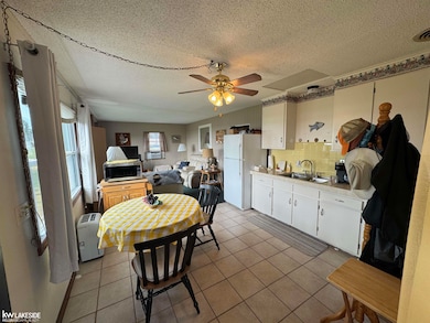 6024 Port Austin Rd unit 4, Caseville, MI 48725 - photo 2