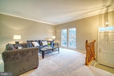 20343 Briarcliff Terrace, Sterling, VA 20165 - photo 4