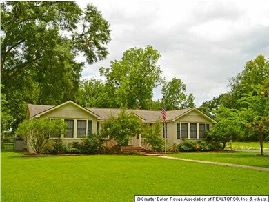Huge, level yard with mature trees and plenty of r