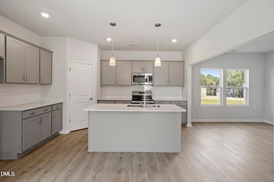 22 Sagamore Ave unit Lot 23, Angier, NC 27501 - photo 3