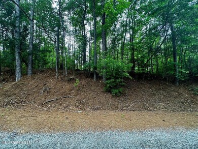 0 W NEBO RD PIC 4