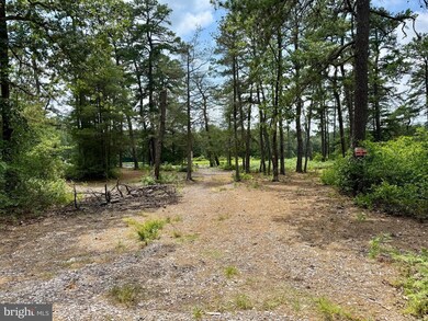 4320 Lake Nescochague Dr, Hammonton, NJ 08037 - photo 3