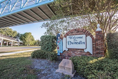 229 Lime Cir S, Dunedin, FL 34698 - photo 6