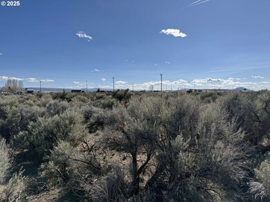 0 Hemlock Ln unit 700 619985441, Christmas Valley, OR 97641 - photo 6