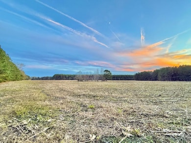 1432 S Friendfield Rd, Scranton, SC 29591 - photo 3