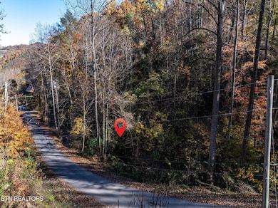 Deep-Hollow-Rd-Gatlinburg-TN-31