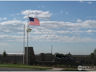 4020 Wild Elm Way, Fort Collins, CO 80528 - photo 3