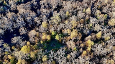 1215 Dennis Slaughter Rd, Pollock, LA 71467 - photo 7