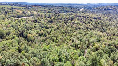 DJI_0891