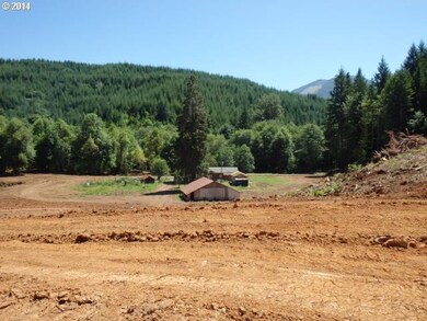 17508 Nonpareil Rd, Sutherlin, OR 97479 - photo 4