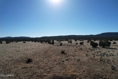 53770 N Via de Oro Pkwy unit 1486, Seligman, AZ 86337 - photo 3