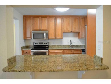 4106 W Bay Court Ave, Tampa, FL 33611 - photo 6