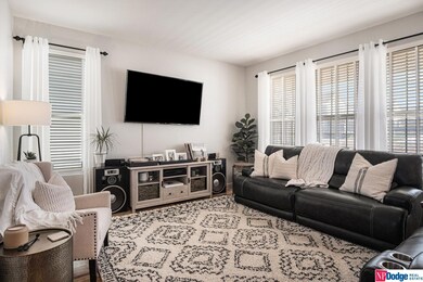 908 Mineral Dr, Papillion, NE 68046 - photo 5