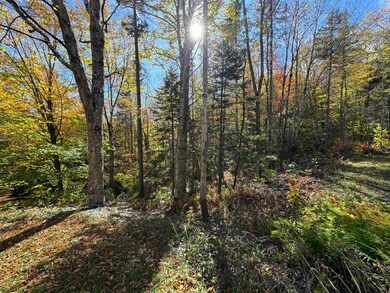 359 Case Ln, Readsboro, VT 05350 - photo 5
