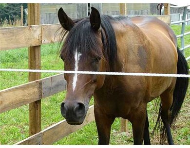 2415 Tower Hill Rd, Saunderstown, RI 02874 - photo 3