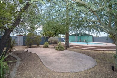 Backyard-Pool