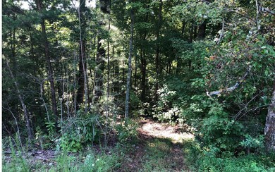 LT 29 Crabapple Ln, Ellijay, GA 30540 - photo 2