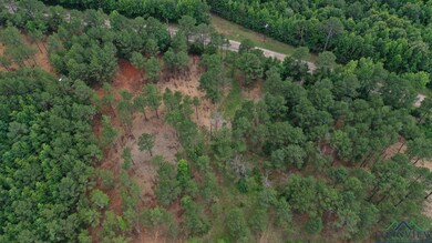 Aerial view of property's location featuring a forest