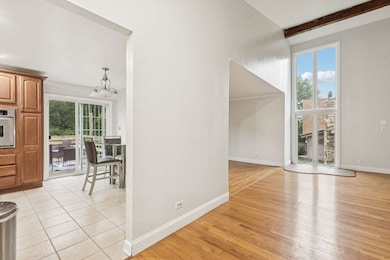 21008 Apollo Cir, Olympia Fields, IL 60461 - photo 7