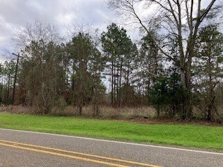 TBD Farm To Market 225, Nacogdoches, TX 75964 - photo 5