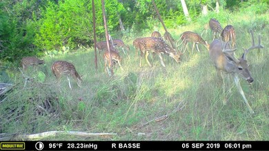 173 Basse Ln, Fredericksburg, TX 78624 - photo 5