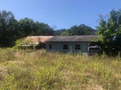 14587 9 Mile Rd, Kaleva, MI 49645 - photo 5