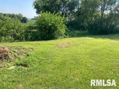 3829 229th Street Cir N, Port Byron, IL 61275 - photo 5