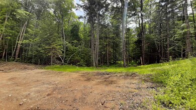 Potential Building Site