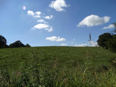 DSC03016