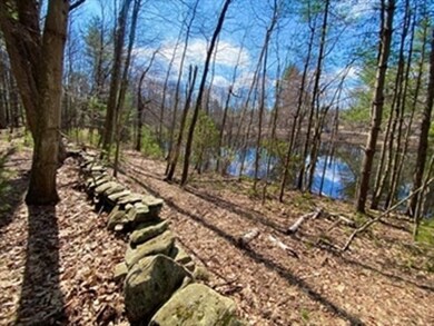 279 Holland Rd, Sturbridge, MA 01518 - photo 5