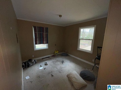 11 Coosa St, Childersburg, AL 35044 - photo 6