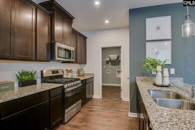 Copper Crest - Townhomes, Lexington, SC 29073 - photo 3