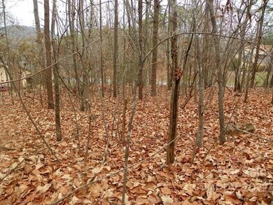 4221 Pinto Ln, Gastonia, NC 28052 - photo 5