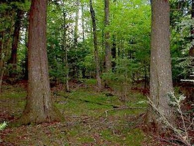 ON Popko Cr E unit Lot 7, Mercer, WI 54547 - photo 2